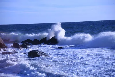 DSC_0591 (Large).JPG